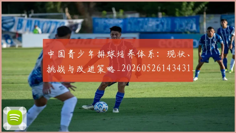 中国青少年排球培养体系：现状、挑战与改进策略_20260526143431_20260607160649