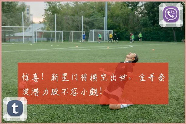 惊喜!新星门将横空出世,金手套奖潜力股不容小觑!